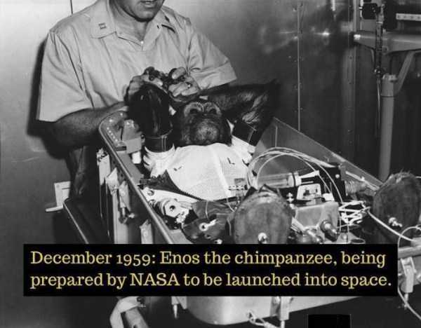 31 Rarely Known Historical Facts (31 photos)