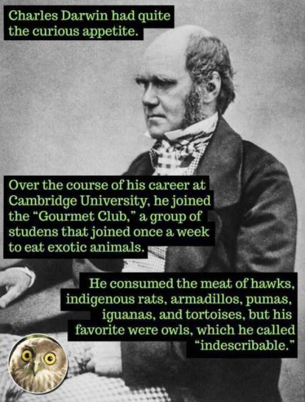 31 Rarely Known Historical Facts (31 photos)