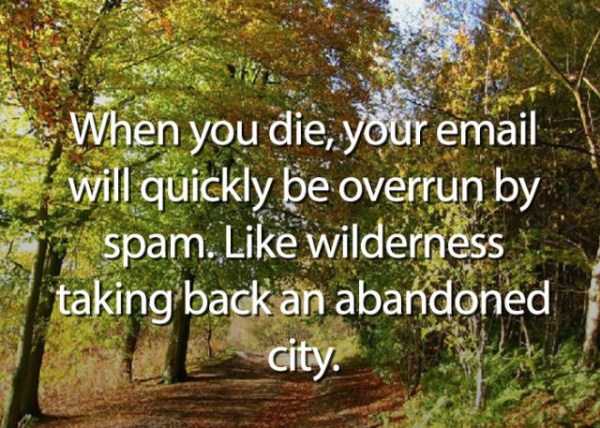 49 Quite Interesting Thoughts (49 photos)