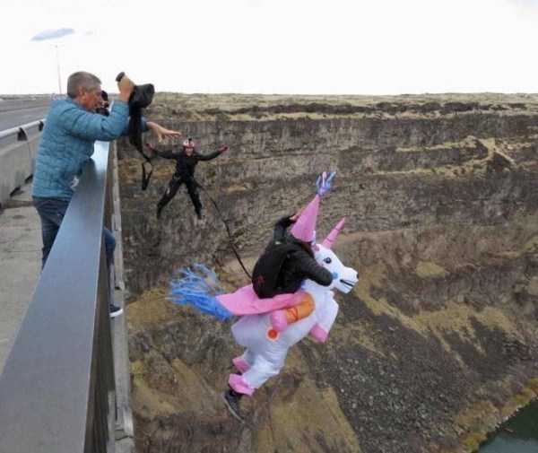 49 Perfectly Timed Photos
