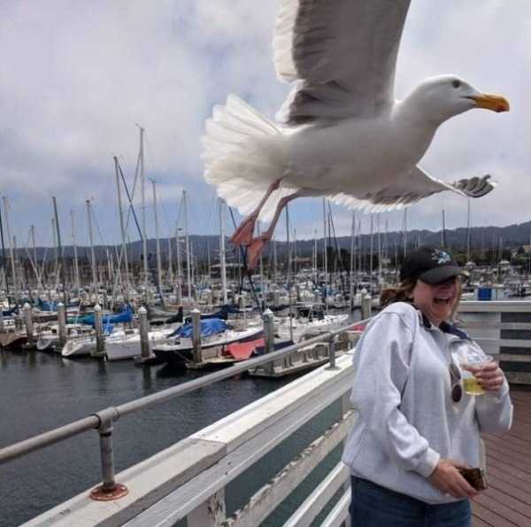 49 Perfectly Timed Photos