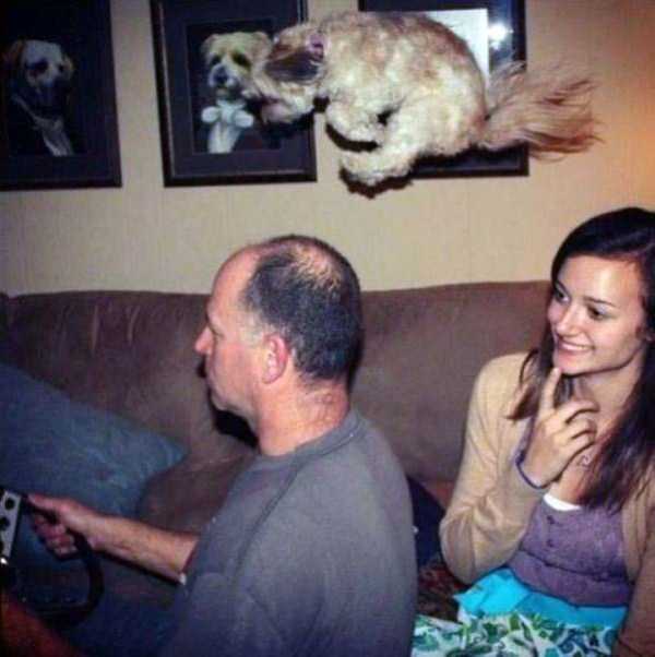 49 Perfectly Timed Photos