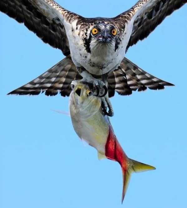 49 Perfectly Timed Photos