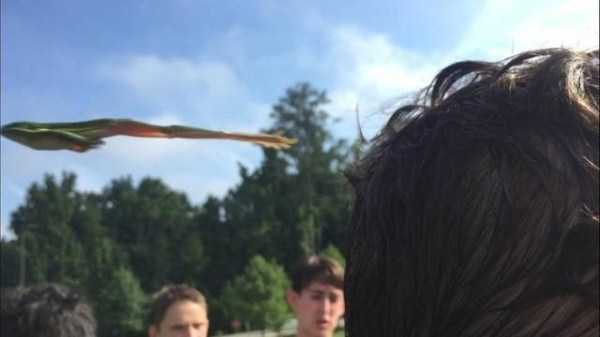 49 Perfectly Timed Photos