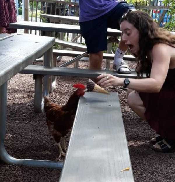 49 Perfectly Timed Photos