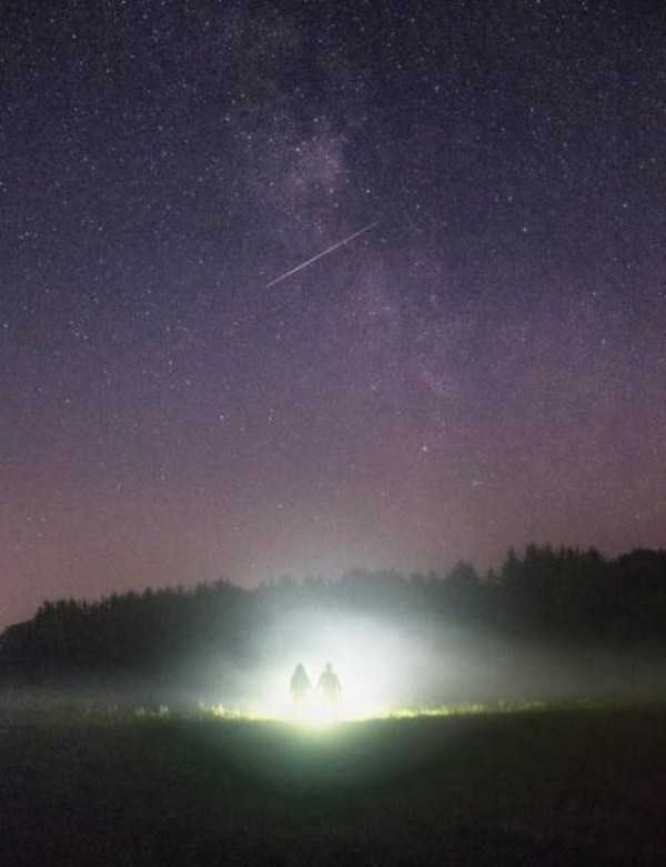 49 Perfectly Timed Photos