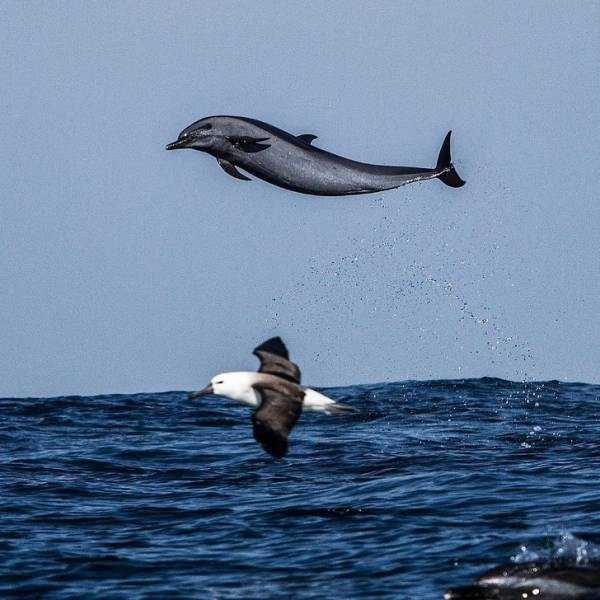 49 Perfectly Timed Photos