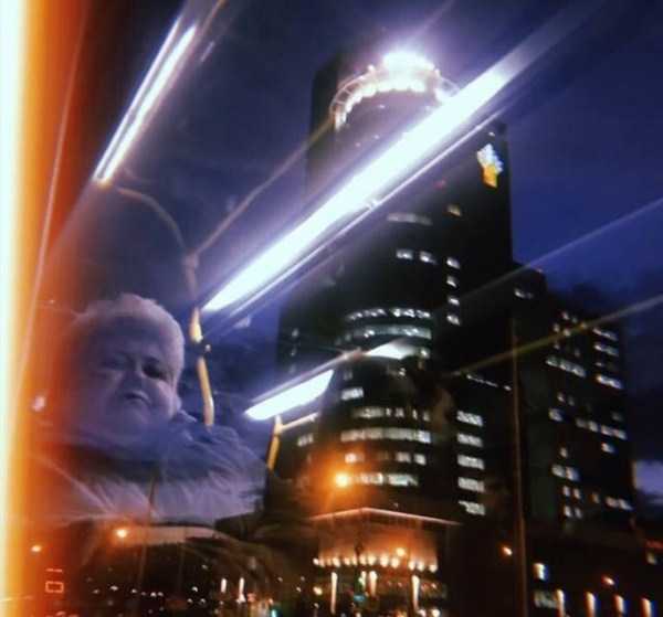 49 Perfectly Timed Photos