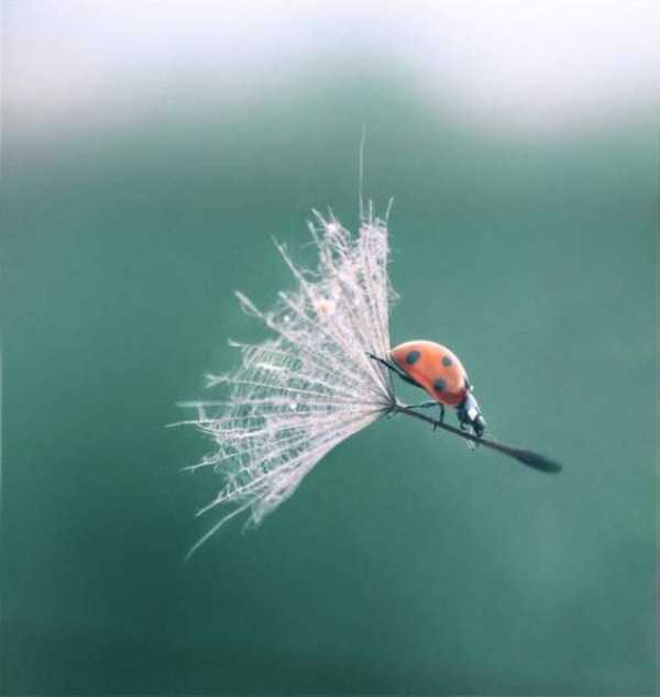 49 Perfectly Timed Photos