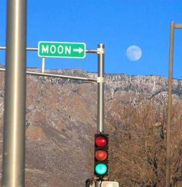 49 Perfectly Timed Photos