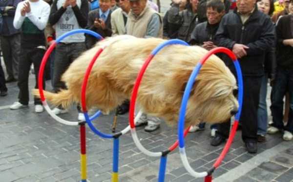 49 Perfectly Timed Photos