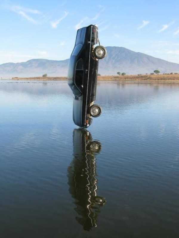 49 Perfectly Timed Photos