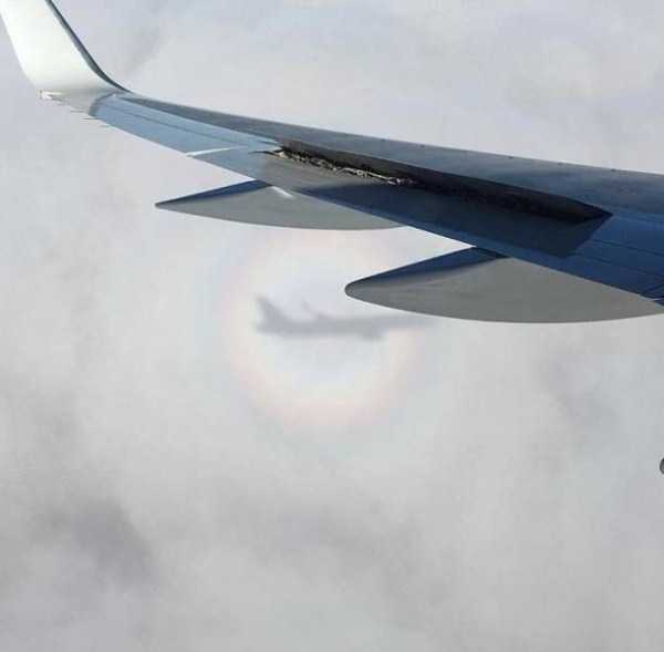 49 Perfectly Timed Photos