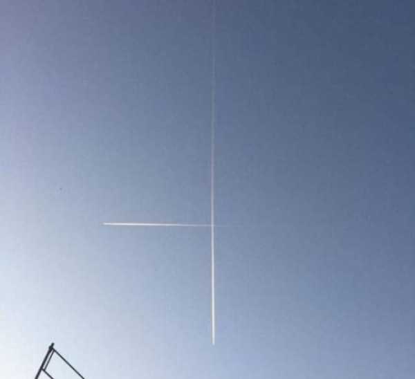 49 Perfectly Timed Photos