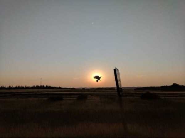 49 Perfectly Timed Photos
