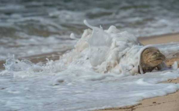 49 Perfectly Timed Photos