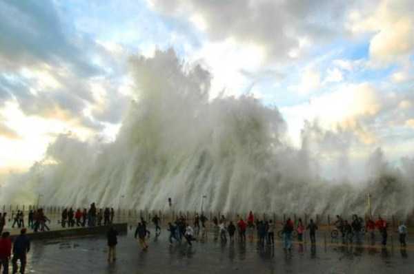 49 Perfectly Timed Photos