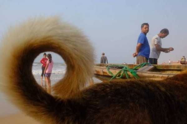 49 Perfectly Timed Photos