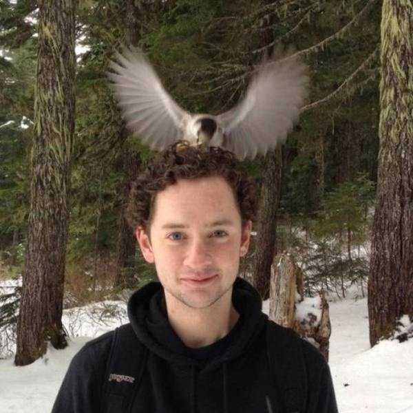 49 Perfectly Timed Photos