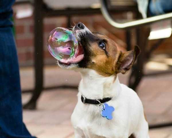 49 Perfectly Timed Photos