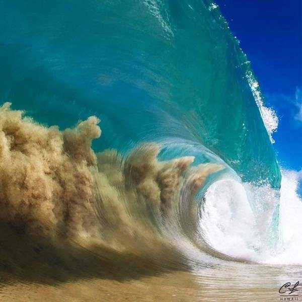 49 Perfectly Timed Photos