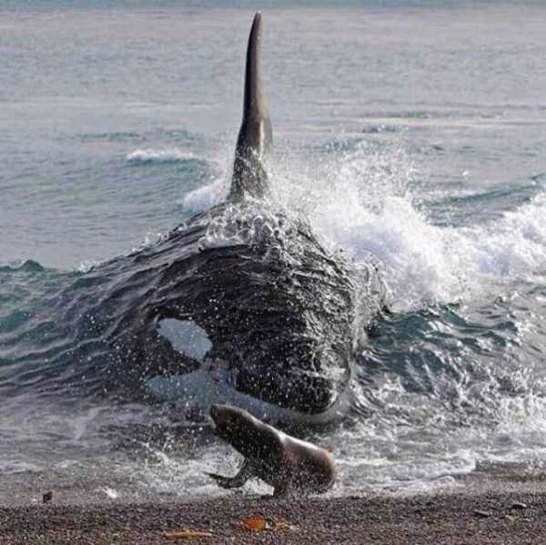 49 Perfectly Timed Photos