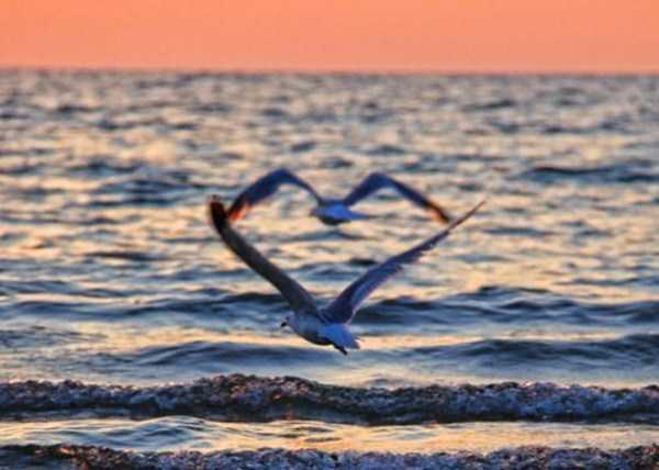 67 Perfectly Timed Photos