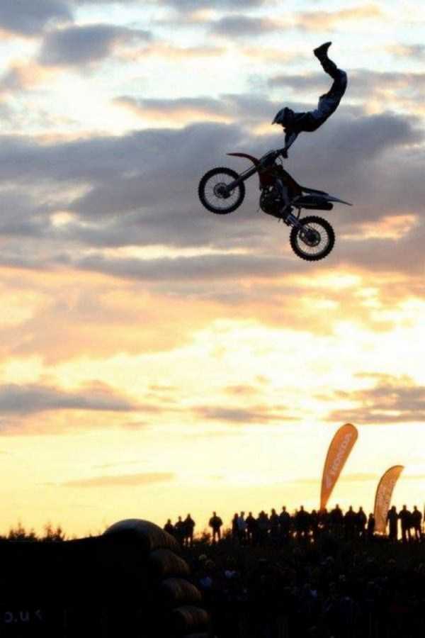 49 Perfectly Timed Photos