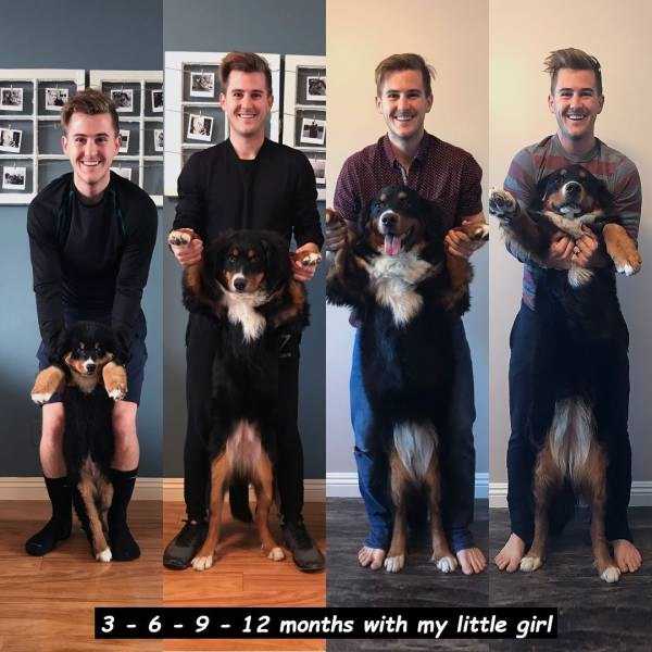 58 Random Pictures With Captions (58 photos)