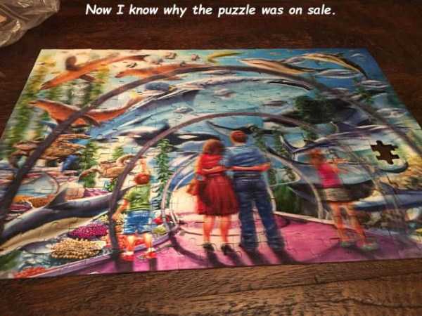 58 Random Pictures With Captions (58 photos)