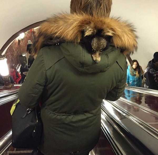 Subway Fashion: Russian Edition – Part 44 (35 photos)