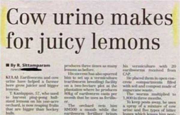 49 WTF News Headlines (49 photos)