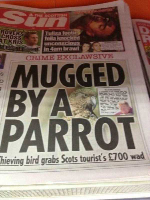 49 WTF News Headlines (49 photos)