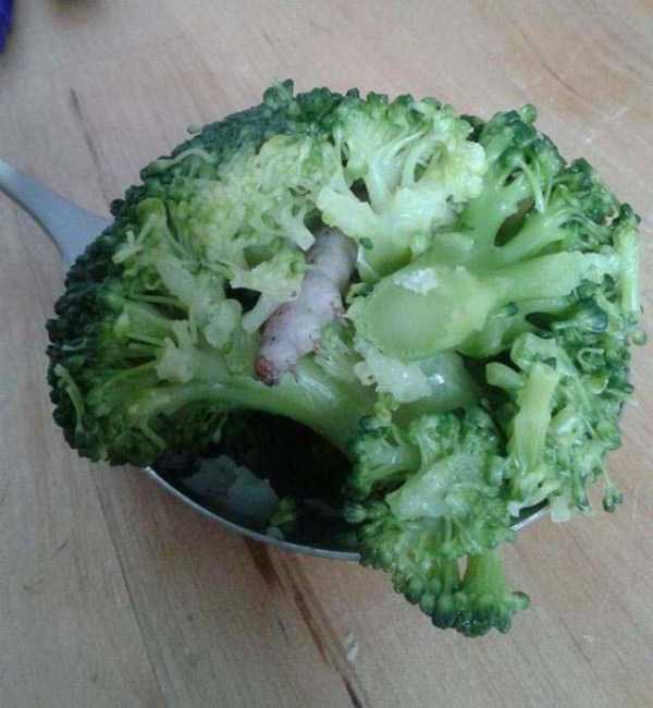 52 More WTF Photos, Because Why Not!?
