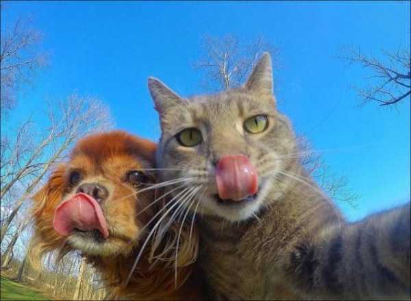 57 Nothing But Awesome Pics (57 photos)