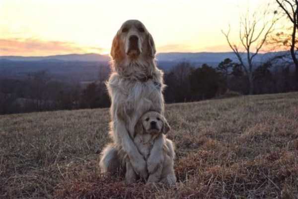 57 Nothing But Awesome Pics (57 photos)
