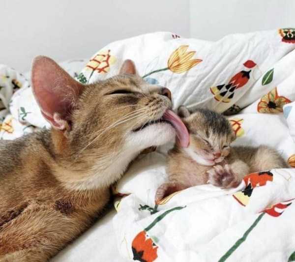 57 Nothing But Awesome Pics (57 photos)