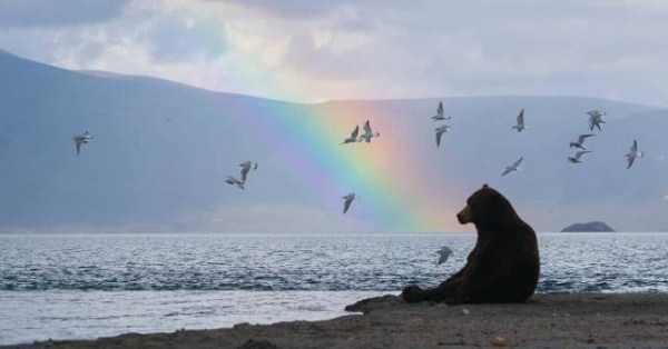 57 Nothing But Awesome Pics (57 photos)