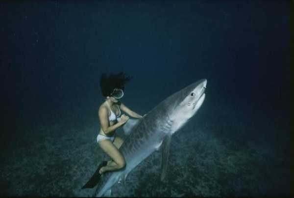 57 Nothing But Awesome Pics (57 photos)
