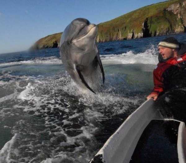 57 Nothing But Awesome Pics (57 photos)