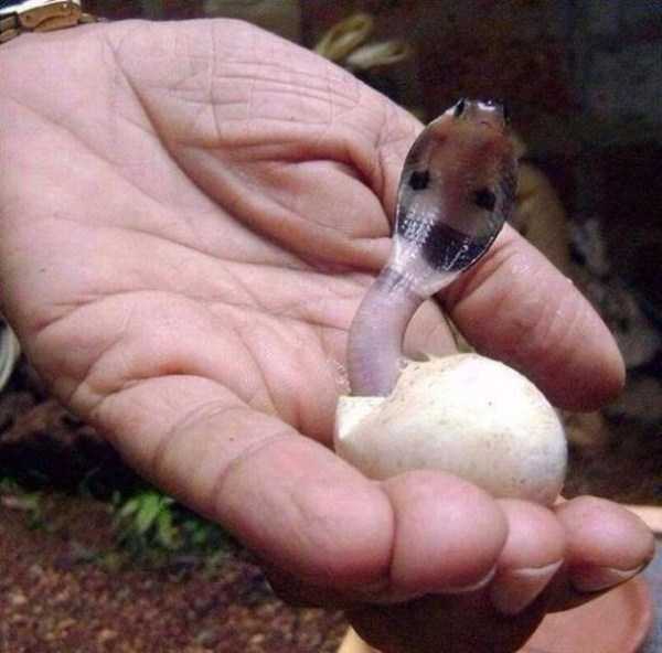 57 Nothing But Awesome Pics (57 photos)