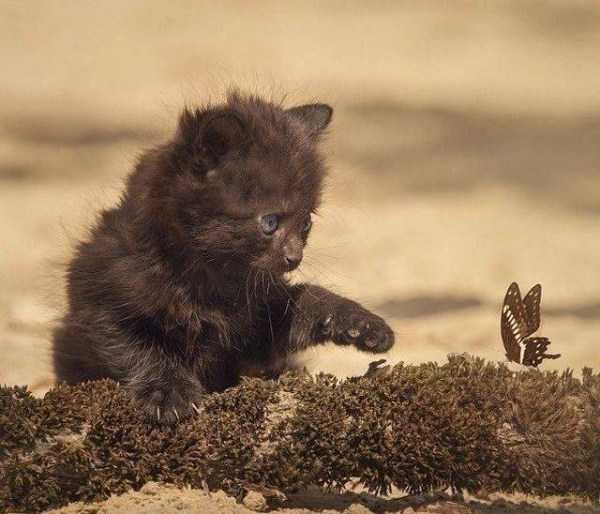 57 Nothing But Awesome Pics (57 photos)