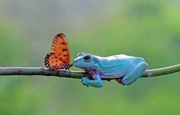 57 Nothing But Awesome Pics (57 photos)