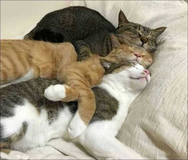 57 Nothing But Awesome Pics (57 photos)