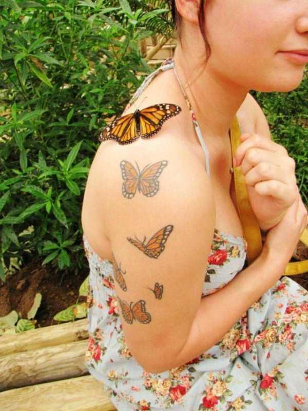 57 Nothing But Awesome Pics (57 photos)