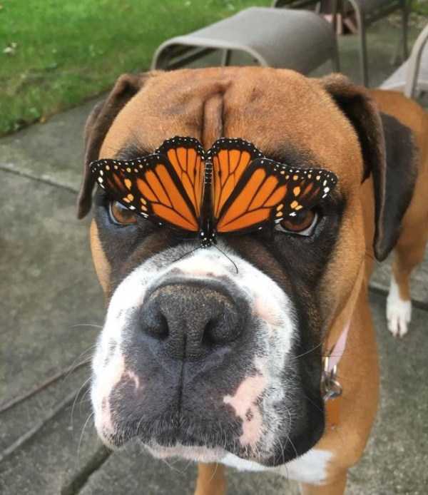 57 Nothing But Awesome Pics (57 photos)