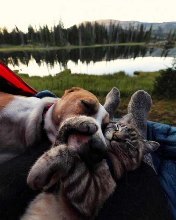 57 Nothing But Awesome Pics (57 photos)