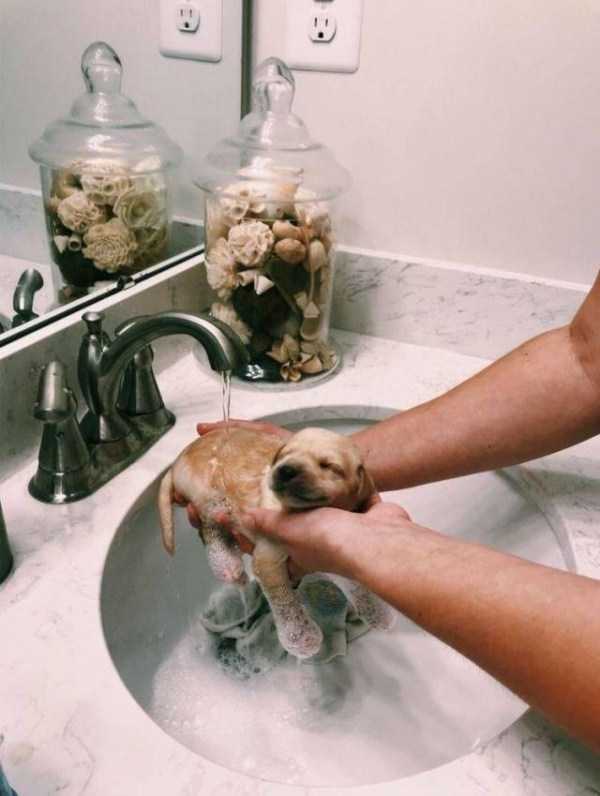 57 Nothing But Awesome Pics (57 photos)