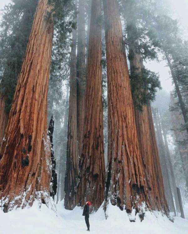 57 Nothing But Awesome Pics (57 photos)