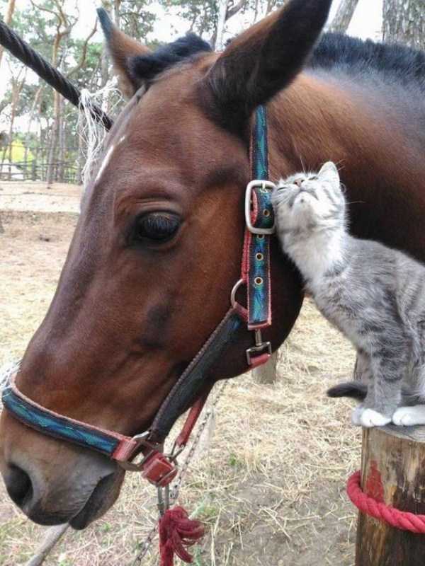 57 Nothing But Awesome Pics (57 photos)